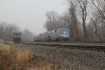 AMTK 87 heading east past MP 116 and NS 7717 on the siding